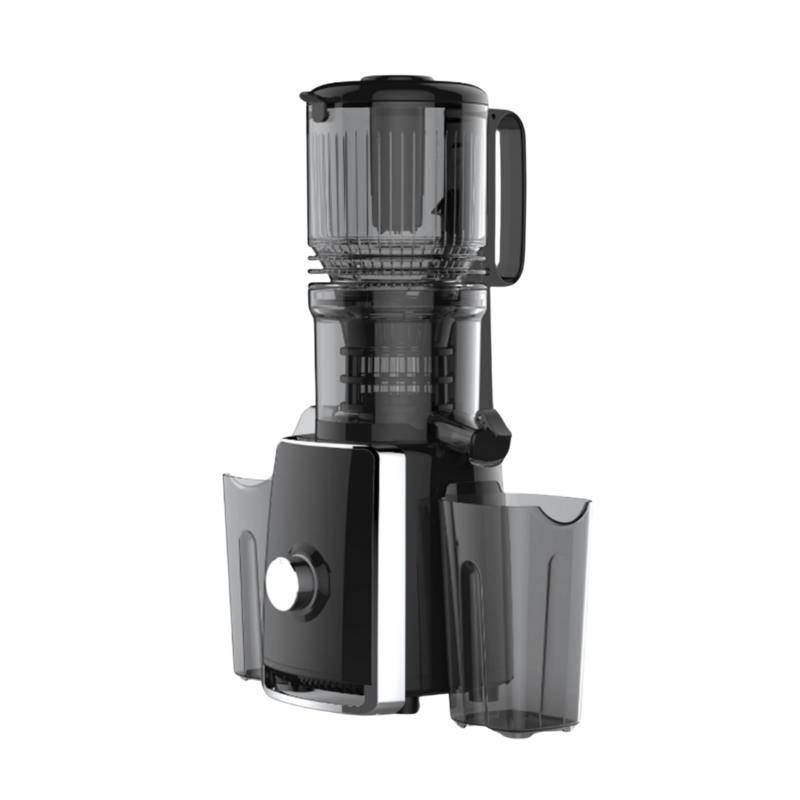 250W Cold Press Juicer with 800ml Juice Container