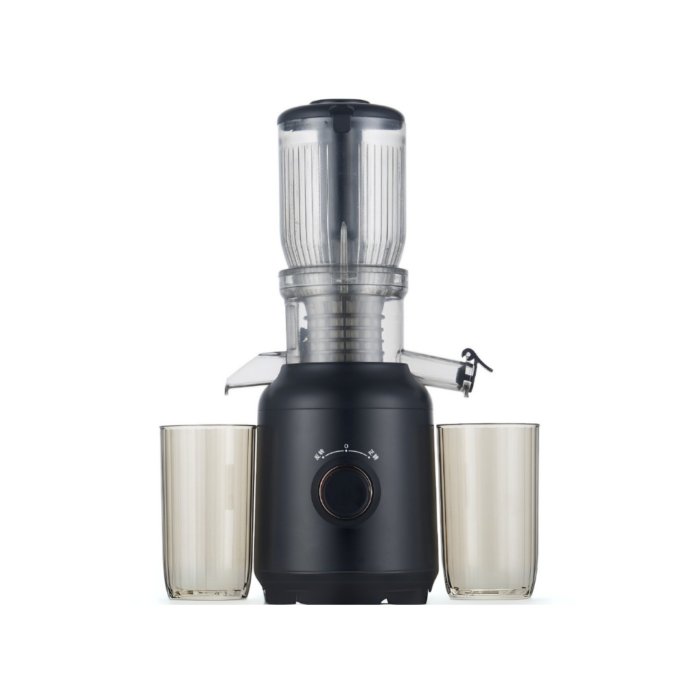 250W Cold Press Juicer