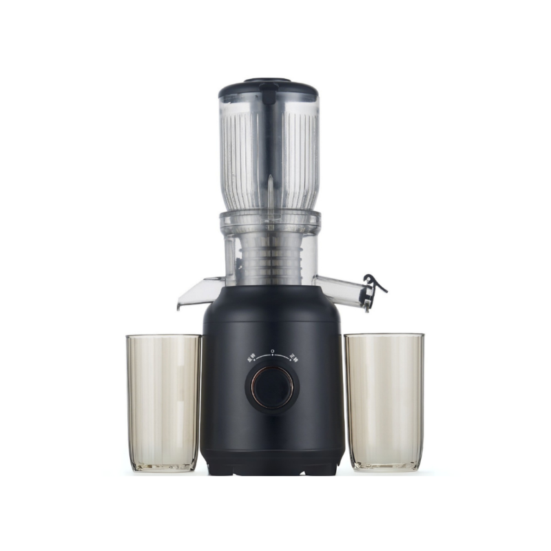 250W Cold Press Juicer